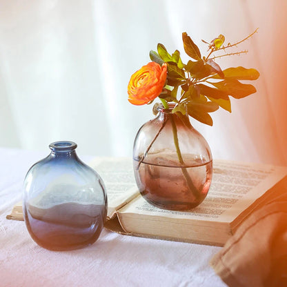 Vase en verre, pots de fleure, décoration