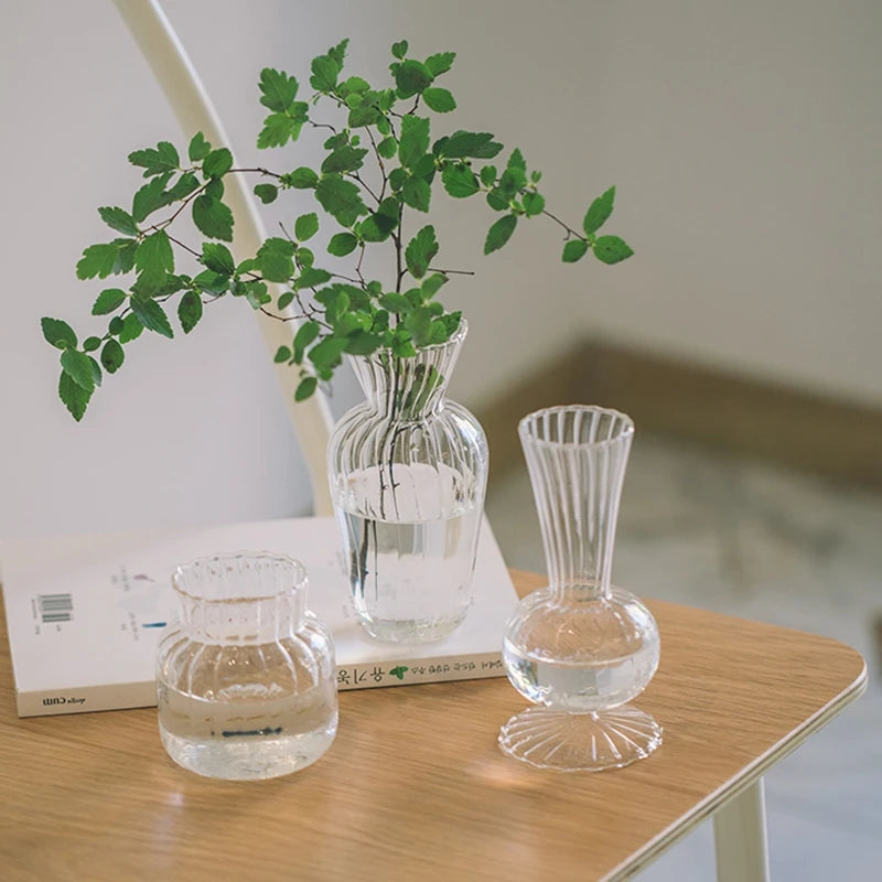 Vase en verre, pots de fleure, décoration