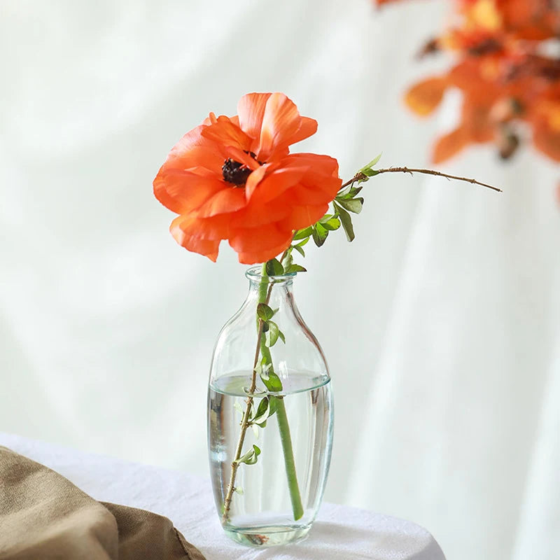 Vase en verre, pots de fleure, décoration